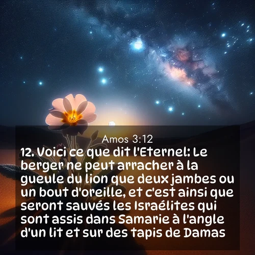 image nature avec verset biblique de la Bible