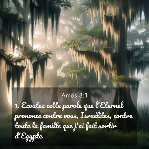 image nature avec verset biblique de la Bible