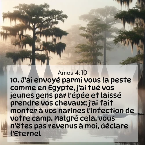 Segond21 Amos  ; image nature: image avec le verset biblique :J&#039;ai envoyé parmi vous la peste comme en Egypte, j&#039;ai tué vos jeunes gens par l&#039;épée et laissé prendre vos chevaux; j&#039;ai fait monter à vos narines l&#039;infection de votre camp. Malgré cela, vous n&#039;êtes pas revenus à moi, déclare l&#039;Eternel. ;  ; 4:10