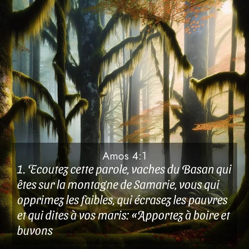 Segond21 Amos  ; image nature: image avec le verset biblique :Ecoutez cette parole, vaches du Basan qui êtes sur la montagne de Samarie, vous qui opprimez les faibles, qui écrasez les pauvres et qui dites à vos maris: «Apportez à boire et buvons!» ;  ; 4:1