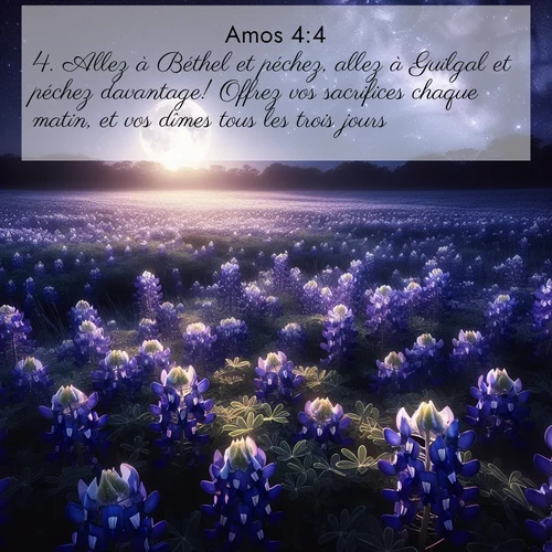 Segond21 Amos  ; image nature: image avec le verset biblique :Allez à Béthel et péchez, allez à Guilgal et péchez davantage! Offrez vos sacrifices chaque matin, et vos dîmes tous les trois jours. ;  ; 4:4