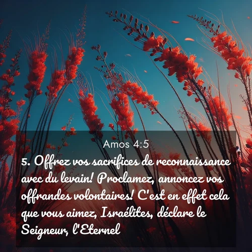 Segond21 Amos  ; image nature: image avec le verset biblique :Offrez vos sacrifices de reconnaissance avec du levain! Proclamez, annoncez vos offrandes volontaires! C&#039;est en effet cela que vous aimez, Israélites, déclare le Seigneur, l&#039;Eternel. ;  ; 4:5