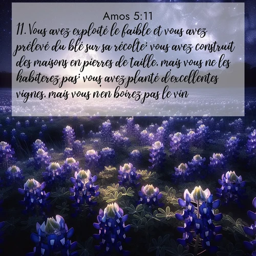 Segond21 Amos  ; image nature: image avec le verset biblique :Vous avez exploité le faible et vous avez prélevé du blé sur sa récolte; vous avez construit des maisons en pierres de taille, mais vous ne les habiterez pas; vous avez planté d&#039;excellentes vignes, mais vous n&#039;en boirez pas le vin. ;  ; 5:11