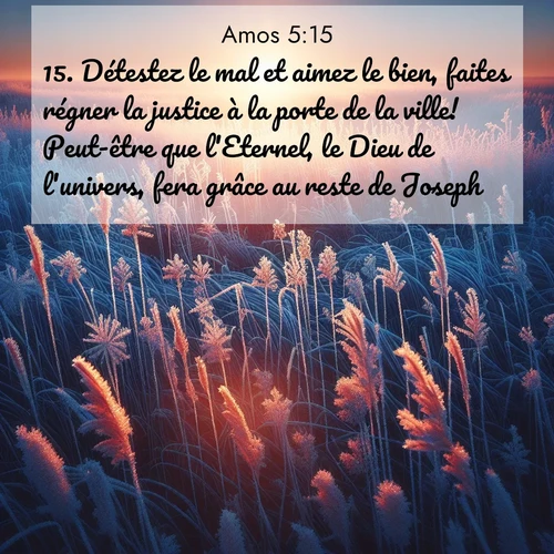 Segond21 Amos  ; image nature: image avec le verset biblique :Détestez le mal et aimez le bien, faites régner la justice à la porte de la ville! Peut-être que l&#039;Eternel, le Dieu de l&#039;univers, fera grâce au reste de Joseph. ;  ; 5:15