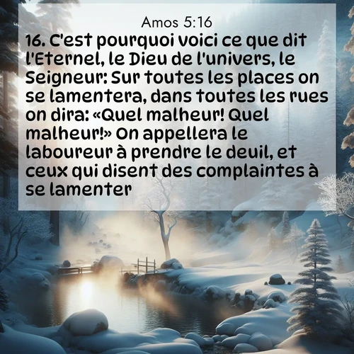 Segond21 Amos  ; image nature: image avec le verset biblique :C&#039;est pourquoi voici ce que dit l&#039;Eternel, le Dieu de l&#039;univers, le Seigneur: Sur toutes les places on se lamentera, dans toutes les rues on dira: «Quel malheur! Quel malheur!» On appellera le laboureur à prendre le deuil, et ceux qui disent des complaintes à se lamenter. ;  ; 5:16