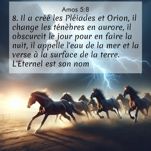 Segond21 Amos  ; image nature: image avec le verset biblique :Il a créé les Pléiades et Orion, il change les ténèbres en aurore, il obscurcit le jour pour en faire la nuit, il appelle l&#039;eau de la mer et la verse à la surface de la terre. L&#039;Eternel est son nom. ;  ; 5:8