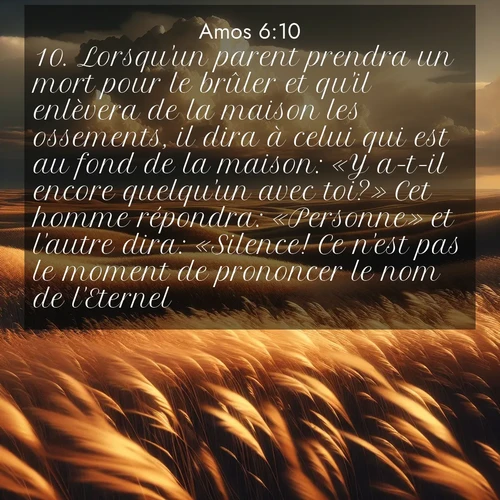 Segond21 Amos  ; image nature: image avec le verset biblique :Lorsqu&#039;un parent prendra un mort pour le brûler et qu&#039;il enlèvera de la maison les ossements, il dira à celui qui est au fond de la maison: «Y a-t-il encore quelqu&#039;un avec toi?» Cet homme répondra: «Personne» et l&#039;autre dira: «Silence! Ce n&#039;est pas le moment de prononcer le nom de l&#039;Eternel.» ;  ; 6:10