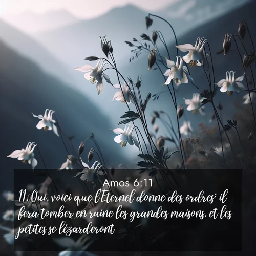 Segond21 Amos  ; image nature: image avec le verset biblique :Oui, voici que l&#039;Eternel donne des ordres: il fera tomber en ruine les grandes maisons, et les petites se lézarderont. ;  ; 6:11