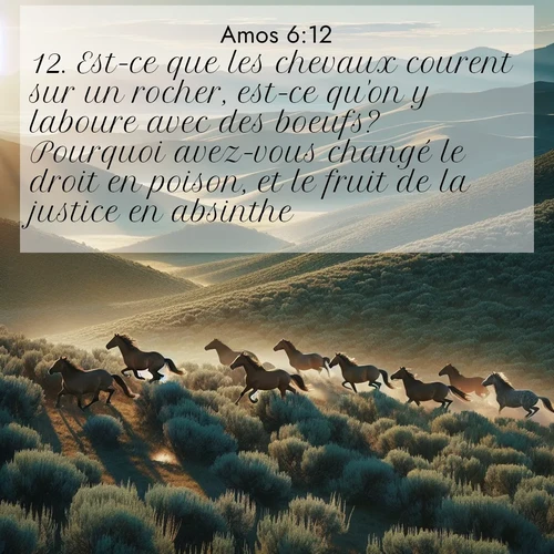 Segond21 Amos  ; image nature: image avec le verset biblique :Est-ce que les chevaux courent sur un rocher, est-ce qu&#039;on y laboure avec des boeufs? Pourquoi avez-vous changé le droit en poison, et le fruit de la justice en absinthe? ;  ; 6:12