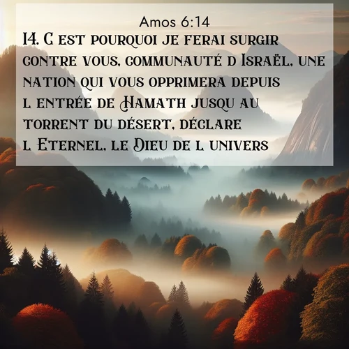 Segond21 Amos  ; image nature: image avec le verset biblique :C&#039;est pourquoi je ferai surgir contre vous, communauté d&#039;Israël, une nation qui vous opprimera depuis l&#039;entrée de Hamath jusqu&#039;au torrent du désert, déclare l&#039;Eternel, le Dieu de l&#039;univers. ;  ; 6:14