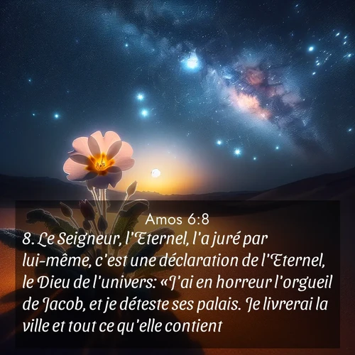 Segond21 Amos  ; image nature: image avec le verset biblique :Le Seigneur, l&#039;Eternel, l&#039;a juré par lui-même, c&#039;est une déclaration de l&#039;Eternel, le Dieu de l&#039;univers: «J&#039;ai en horreur l&#039;orgueil de Jacob, et je déteste ses palais. Je livrerai la ville et tout ce qu&#039;elle contient.» ;  ; 6:8