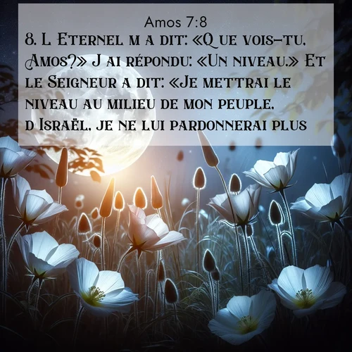 Segond21 Amos  ; image nature: image avec le verset biblique :L&#039;Eternel m&#039;a dit: «Que vois-tu, Amos?» J&#039;ai répondu: «Un niveau.» Et le Seigneur a dit: «Je mettrai le niveau au milieu de mon peuple, d&#039;Israël, je ne lui pardonnerai plus. ;  ; 7:8