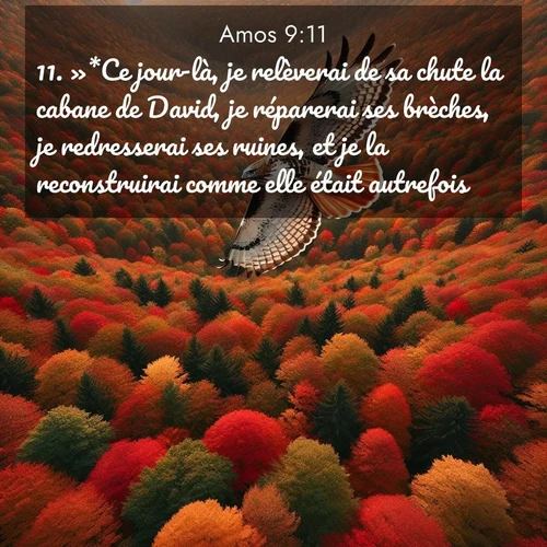 Segond21 Amos  ; image nature: image avec le verset biblique :»*Ce jour-là, je relèverai de sa chute la cabane de David, je réparerai ses brèches, je redresserai ses ruines, et je la reconstruirai comme elle était autrefois. ;  ; 9:11