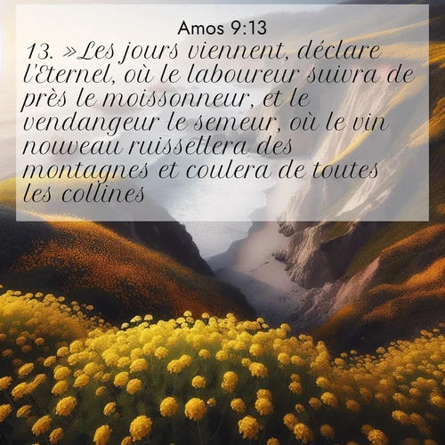 Segond21 Amos  ; image nature: image avec le verset biblique :»Les jours viennent, déclare l&#039;Eternel, où le laboureur suivra de près le moissonneur, et le vendangeur le semeur, où le vin nouveau ruissellera des montagnes et coulera de toutes les collines. ;  ; 9:13