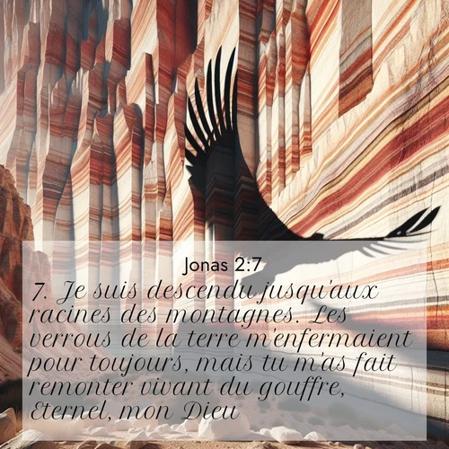 Segond21 Jonas  ; image nature: image avec le verset biblique :Je suis descendu jusqu&#039;aux racines des montagnes. Les verrous de la terre m&#039;enfermaient pour toujours, mais tu m&#039;as fait remonter vivant du gouffre, Eternel, mon Dieu! ;  ; 2:7