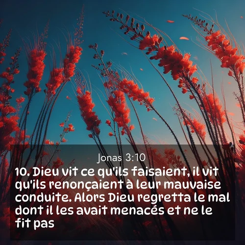 Segond21 Jonas  ; image nature: image avec le verset biblique :Dieu vit ce qu&#039;ils faisaient, il vit qu&#039;ils renonçaient à leur mauvaise conduite. Alors Dieu regretta le mal dont il les avait menacés et ne le fit pas. ;  ; 3:10