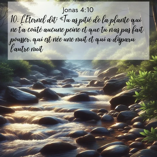 Segond21 Jonas  ; image nature: image avec le verset biblique :L&#039;Eternel dit: «Tu as pitié de la plante qui ne t&#039;a coûté aucune peine et que tu n&#039;as pas fait pousser, qui est née une nuit et qui a disparu l&#039;autre nuit, ;  ; 4:10
