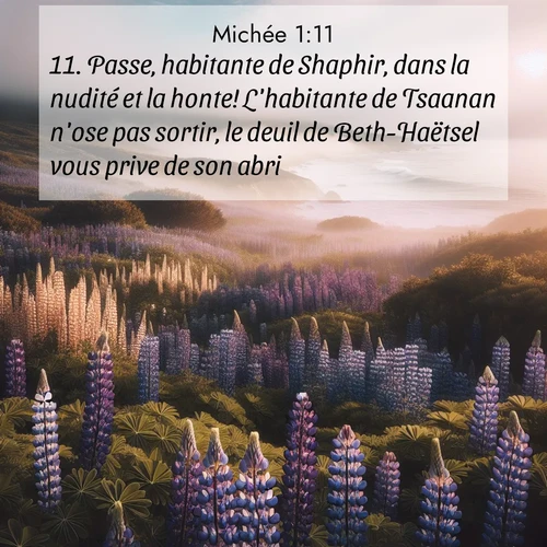 Segond21 Michée  ; image nature: image avec le verset biblique :Passe, habitante de Shaphir, dans la nudité et la honte! L&#039;habitante de Tsaanan n&#039;ose pas sortir, le deuil de Beth-Haëtsel vous prive de son abri. ;  ; 1:11