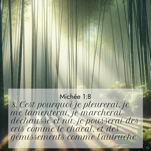Segond21 Michée  ; image nature: image avec le verset biblique :C&#039;est pourquoi je pleurerai, je me lamenterai, je marcherai déchaussé et nu, je pousserai des cris comme le chacal, et des gémissements comme l&#039;autruche. ;  ; 1:8
