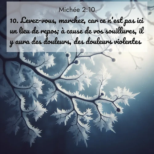 Segond21 Michée  ; image nature: image avec le verset biblique :Levez-vous, marchez, car ce n&#039;est pas ici un lieu de repos; à cause de vos souillures, il y aura des douleurs, des douleurs violentes. ;  ; 2:10
