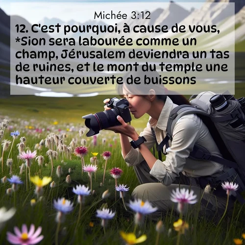 Segond21 Michée  ; image nature: image avec le verset biblique :C&#039;est pourquoi, à cause de vous, *Sion sera labourée comme un champ, Jérusalem deviendra un tas de ruines, et le mont du temple une hauteur couverte de buissons. ;  ; 3:12
