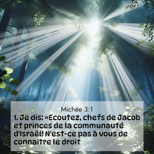 Segond21 Michée  ; image nature: image avec le verset biblique :Je dis: «Ecoutez, chefs de Jacob et princes de la communauté d&#039;Israël! N&#039;est-ce pas à vous de connaître le droit? ;  ; 3:1