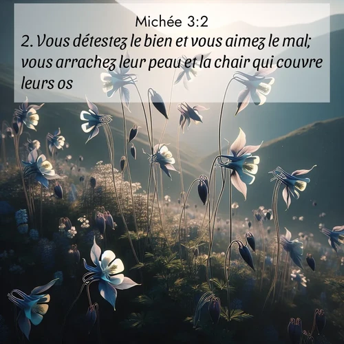 Segond21 Michée  ; image nature: image avec le verset biblique :Vous détestez le bien et vous aimez le mal; vous arrachez leur peau et la chair qui couvre leurs os.» ;  ; 3:2
