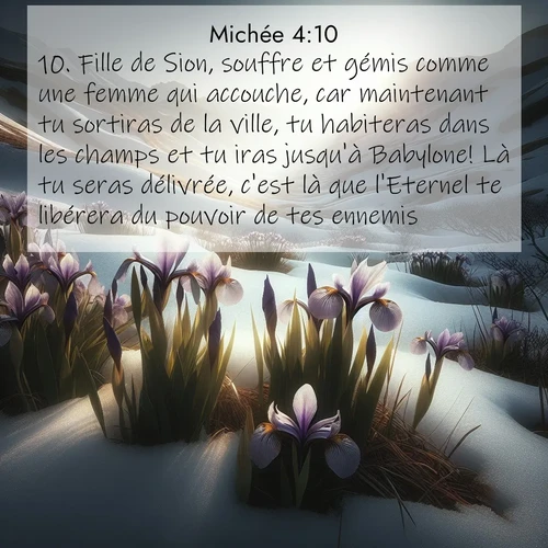 Segond21 Michée  ; image nature: image avec le verset biblique :Fille de Sion, souffre et gémis comme une femme qui accouche, car maintenant tu sortiras de la ville, tu habiteras dans les champs et tu iras jusqu&#039;à Babylone! Là tu seras délivrée, c&#039;est là que l&#039;Eternel te libérera du pouvoir de tes ennemis. ;  ; 4:10