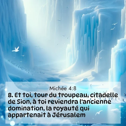 Segond21 Michée  ; image nature: image avec le verset biblique :Et toi, tour du troupeau, citadelle de Sion, à toi reviendra l&#039;ancienne domination, la royauté qui appartenait à Jérusalem. ;  ; 4:8