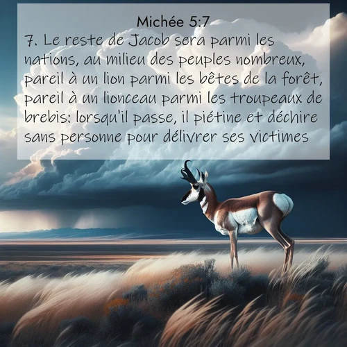 image nature avec verset biblique de la Bible