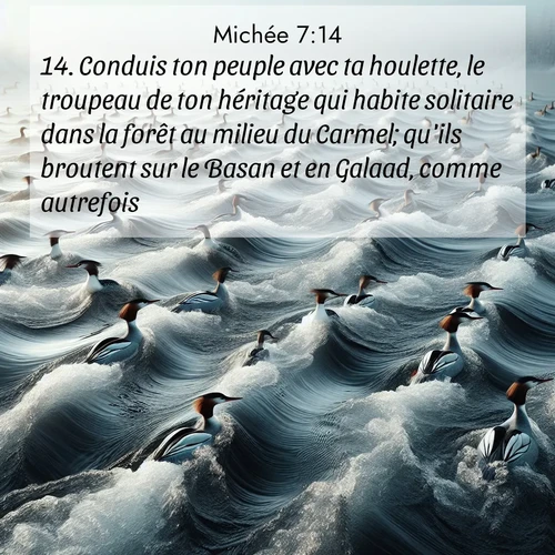 Segond21 Michée  ; image nature: image avec le verset biblique :Conduis ton peuple avec ta houlette, le troupeau de ton héritage qui habite solitaire dans la forêt au milieu du Carmel; qu&#039;ils broutent sur le Basan et en Galaad, comme autrefois! ;  ; 7:14