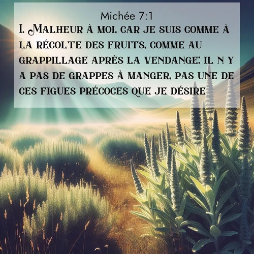 Segond21 Michée  ; image nature: image avec le verset biblique :Malheur à moi, car je suis comme à la récolte des fruits, comme au grappillage après la vendange: il n&#039;y a pas de grappes à manger, pas une de ces figues précoces que je désire. ;  ; 7:1