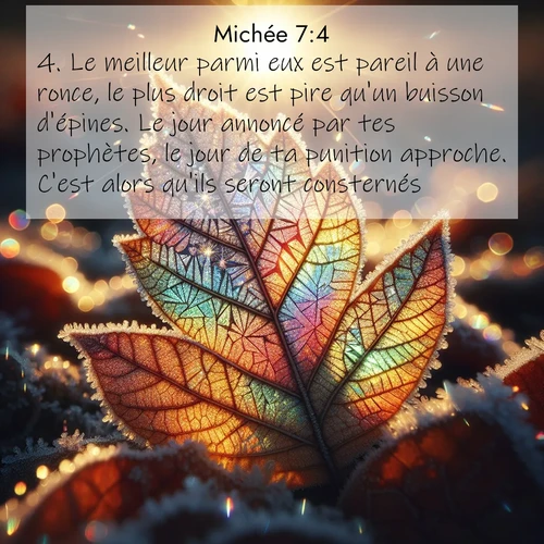 Segond21 Michée  ; image nature: image avec le verset biblique :Le meilleur parmi eux est pareil à une ronce, le plus droit est pire qu&#039;un buisson d&#039;épines. Le jour annoncé par tes prophètes, le jour de ta punition approche. C&#039;est alors qu&#039;ils seront consternés. ;  ; 7:4