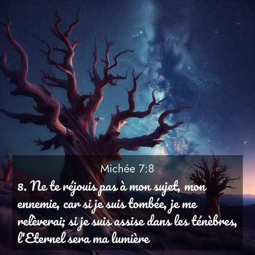 Segond21 Michée  ; image nature: image avec le verset biblique :Ne te réjouis pas à mon sujet, mon ennemie, car si je suis tombée, je me relèverai; si je suis assise dans les ténèbres, l&#039;Eternel sera ma lumière. ;  ; 7:8