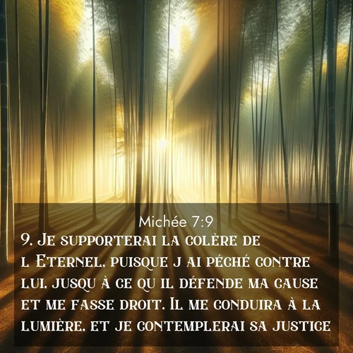 Segond21 Michée  ; image nature: image avec le verset biblique :Je supporterai la colère de l&#039;Eternel, puisque j&#039;ai péché contre lui, jusqu&#039;à ce qu&#039;il défende ma cause et me fasse droit. Il me conduira à la lumière, et je contemplerai sa justice. ;  ; 7:9