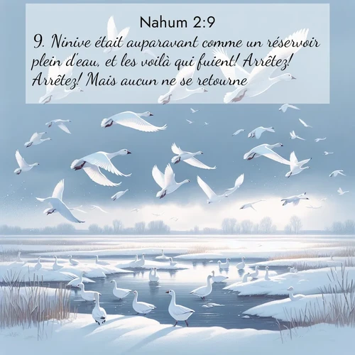 image nature avec verset biblique de la Bible