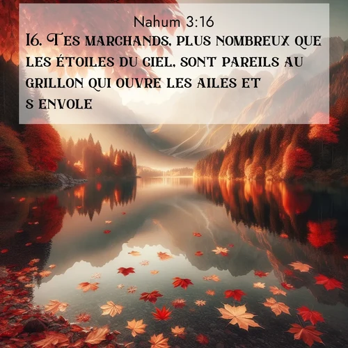 Segond21 Nahum  ; image nature: image avec le verset biblique :Tes marchands, plus nombreux que les étoiles du ciel, sont pareils au grillon qui ouvre les ailes et s&#039;envole. ;  ; 3:16