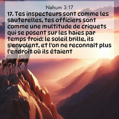 Segond21 Nahum  ; image nature: image avec le verset biblique :Tes inspecteurs sont comme les sauterelles, tes officiers sont comme une multitude de criquets qui se posent sur les haies par temps froid: le soleil brille, ils s&#039;envolent, et l&#039;on ne reconnaît plus l&#039;endroit où ils étaient. ;  ; 3:17