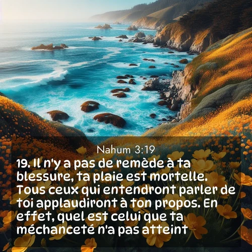 Segond21 Nahum  ; image nature: image avec le verset biblique :Il n&#039;y a pas de remède à ta blessure, ta plaie est mortelle. Tous ceux qui entendront parler de toi applaudiront à ton propos. En effet, quel est celui que ta méchanceté n&#039;a pas atteint? ;  ; 3:19
