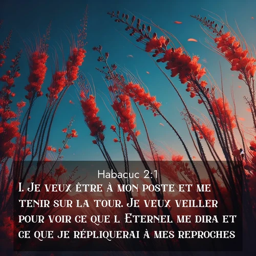 Segond21 Habacuc  ; image nature: image avec le verset biblique :Je veux être à mon poste et me tenir sur la tour. Je veux veiller pour voir ce que l&#039;Eternel me dira et ce que je répliquerai à mes reproches. ;  ; 2:1