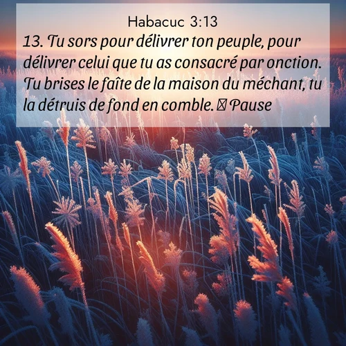 Segond21 Habacuc  ; image nature: image avec le verset biblique :Tu sors pour délivrer ton peuple, pour délivrer celui que tu as consacré par onction. Tu brises le faîte de la maison du méchant, tu la détruis de fond en comble.         Pause. ;  ; 3:13