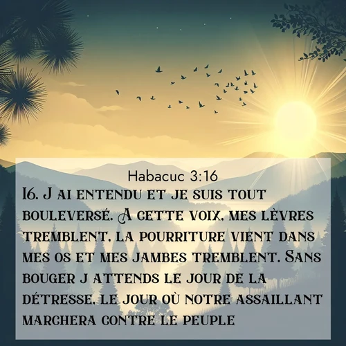 Segond21 Habacuc  ; image nature: image avec le verset biblique :J&#039;ai entendu et je suis tout bouleversé. A cette voix, mes lèvres tremblent, la pourriture vient dans mes os et mes jambes tremblent. Sans bouger j&#039;attends le jour de la détresse, le jour où notre assaillant marchera contre le peuple. ;  ; 3:16