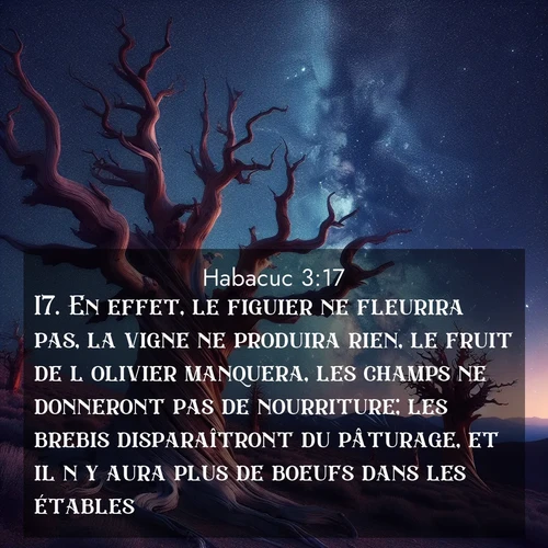 Segond21 Habacuc  ; image nature: image avec le verset biblique :En effet, le figuier ne fleurira pas, la vigne ne produira rien, le fruit de l&#039;olivier manquera, les champs ne donneront pas de nourriture; les brebis disparaîtront du pâturage, et il n&#039;y aura plus de boeufs dans les étables. ;  ; 3:17