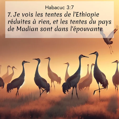 Segond21 Habacuc  ; image nature: image avec le verset biblique :Je vois les tentes de l&#039;Ethiopie réduites à rien, et les tentes du pays de Madian sont dans l&#039;épouvante. ;  ; 3:7