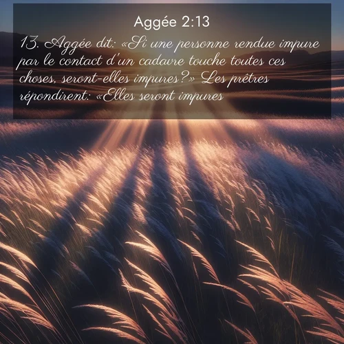 Segond21 Aggée  ; image nature: image avec le verset biblique :Aggée dit: «Si une personne rendue impure par le contact d&#039;un cadavre touche toutes ces choses, seront-elles impures?» Les prêtres répondirent: «Elles seront impures.» ;  ; 2:13