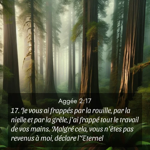 Segond21 Aggée  ; image nature: image avec le verset biblique :Je vous ai frappés par la rouille, par la nielle et par la grêle, j&#039;ai frappé tout le travail de vos mains. Malgré cela, vous n&#039;êtes pas revenus à moi, déclare l&#039;Eternel. ;  ; 2:17