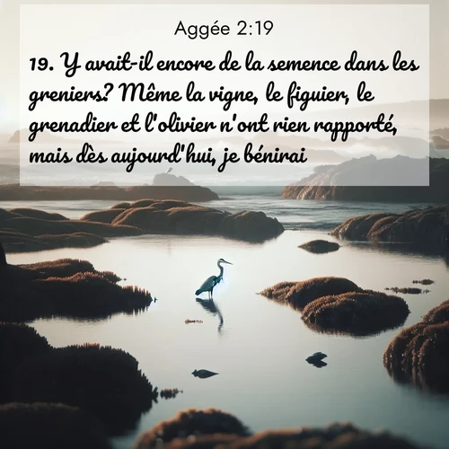 Segond21 Aggée  ; image nature: image avec le verset biblique :Y avait-il encore de la semence dans les greniers? Même la vigne, le figuier, le grenadier et l&#039;olivier n&#039;ont rien rapporté, mais dès aujourd&#039;hui, je bénirai.» ;  ; 2:19
