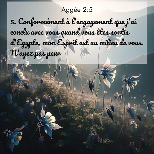 Segond21 Aggée  ; image nature: image avec le verset biblique :Conformément à l&#039;engagement que j&#039;ai conclu avec vous quand vous êtes sortis d&#039;Egypte, mon Esprit est au milieu de vous. N&#039;ayez pas peur! ;  ; 2:5