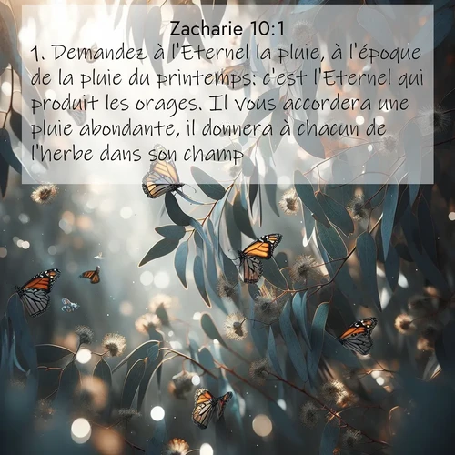 Segond21 Zacharie  ; image nature: image avec le verset biblique :Demandez à l&#039;Eternel la pluie, à l&#039;époque de la pluie du printemps: c&#039;est l&#039;Eternel qui produit les orages. Il vous accordera une pluie abondante, il donnera à chacun de l&#039;herbe dans son champ. ;  ; 10:1