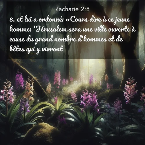 Segond21 Zacharie  ; image nature: image avec le verset biblique :et lui a ordonné: «Cours dire à ce jeune homme: &#039;Jérusalem sera une ville ouverte à cause du grand nombre d&#039;hommes et de bêtes qui y vivront. ;  ; 2:8